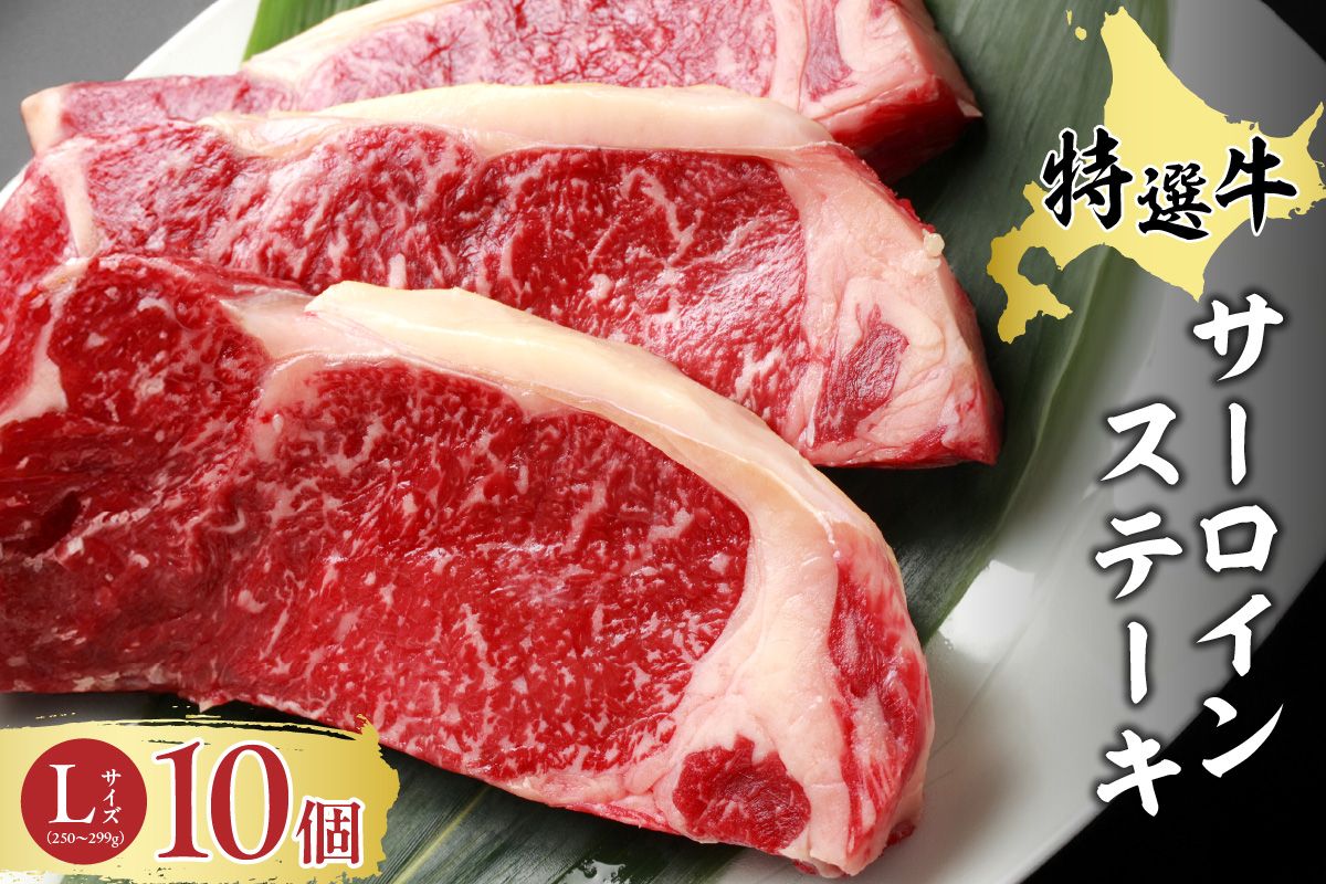 十勝スロウフード 厳選 特選牛サーロインステーキ Lサイズ10枚セット!北海道十勝 清水町 ステーキ 牛肉 サーロインステーキ サーロイン 牛 肉