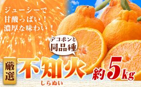 厳選 不知火5kg+250g（傷み補償分）【デコポンと同品種・人気の春みかん】【光センサーで食べ頃出荷】 池田鹿蔵農園@日高町（池田農園株式会社）《2月上旬-4月中旬頃より出荷》和歌山県 日高町【配送不可地域あり】---wsh_idn332_2j3m_25_19000_5kg---