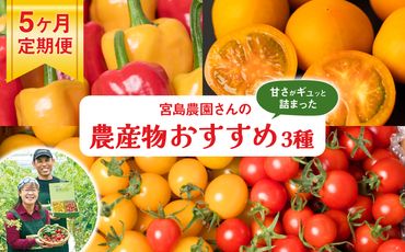 【先行予約】【定期便5回】八代市産 農産物おすすめ定期便 宮島農園 トマト パプリカ 野菜【2024年12月上旬より順次発送】