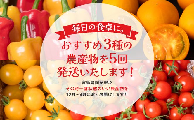 【先行予約】【定期便5回】八代市産 農産物おすすめ定期便 宮島農園 トマト パプリカ 野菜【2024年12月上旬より順次発送】