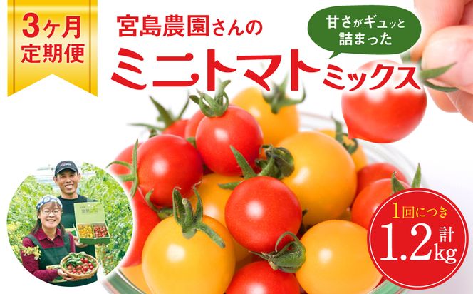 yF{szys\z y3z ~jg}g (~bNX) 1.2kg×3 sY {_ Ƃ܂  y2025N12{菇z