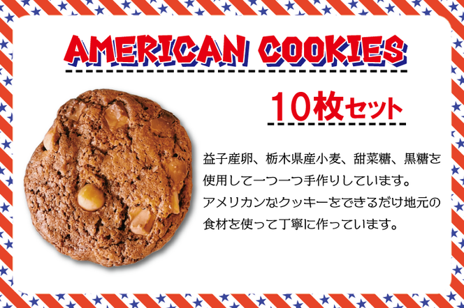 おまかせEnjoyセット　クッキー｜栃木県 益子町 ふるさと納税 クッキー セット 手作り 焼き菓子（CF002-1）