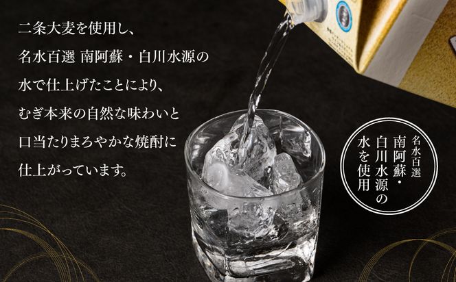 八代不知火蔵 白水 麦焼酎 1.8L パック 6本 25度 紙パック 麦 むぎ焼酎 1800ml 一升 1升 捨てやすい ロック 水割り 炭酸割り