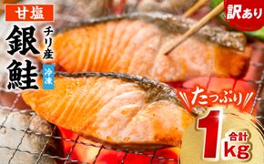 【訳あり】 銀鮭 切り身 たっぷり合計 1kg （鮭 塩鮭 サケ サーモン 甘塩 切身 切り身 大容量 人気の鮭 カマ 希少 魚 鮮魚 冷凍）
