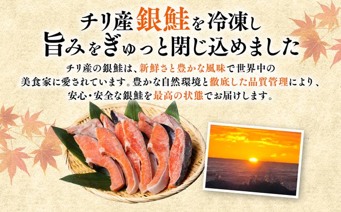 銀鮭 切り身 たっぷり合計 1kg （鮭 塩鮭 サケ サーモン 甘塩 切身 切り身 大容量 人気の鮭 カマ 希少 魚 鮮魚 冷凍）