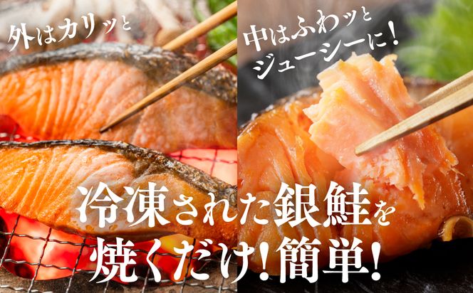 銀鮭 切り身 たっぷり合計 1kg （鮭 塩鮭 サケ サーモン 甘塩 切身 切り身 大容量 人気の鮭 カマ 希少 魚 鮮魚 冷凍）