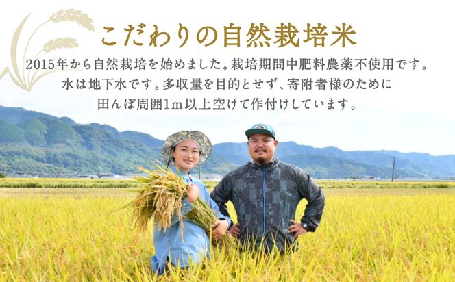 R6年度産 ひのひかり 5kg 5キロ 徳島県産 ヒノヒカリ｜Yahoo