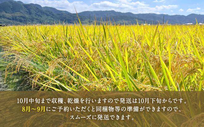 Amazon.co.jp: 【新米】【精米2kg】 熊本県産 【無洗米