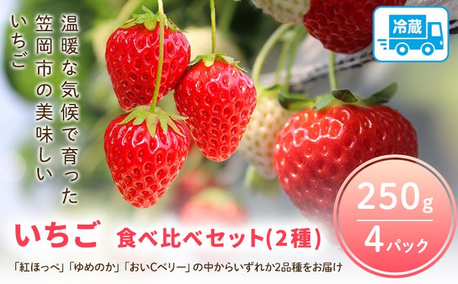 いちご食べ比べセット２種（「紅ほっぺ」「ゆめのか」「おいＣベリー」から２種お届け！）250g4パック 先行予約 JA笠岡アグリ《1月中旬出荷》岡山県 笠岡市 送料無料 苺 フルーツ 果物 お取り寄せ---K-03---