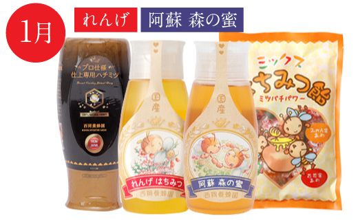 【定期便 年4回】仕上げ専用蜂蜜 ポリチューブ蜂蜜2本 蜂蜜あめ袋セット