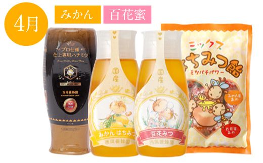 【定期便 年4回】仕上げ専用蜂蜜 ポリチューブ蜂蜜2本 蜂蜜あめ袋セット