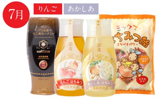 【定期便 年4回】仕上げ専用蜂蜜 ポリチューブ蜂蜜2本 蜂蜜あめ袋セット