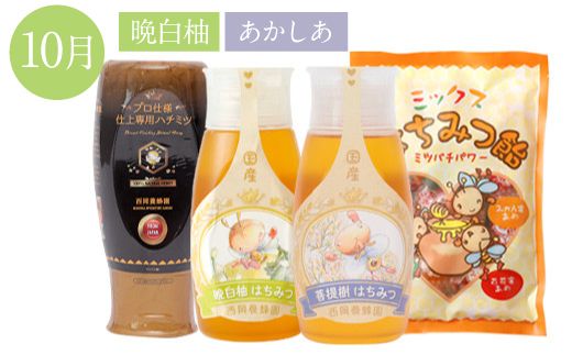 【定期便 年4回】仕上げ専用蜂蜜 ポリチューブ蜂蜜2本 蜂蜜あめ袋セット