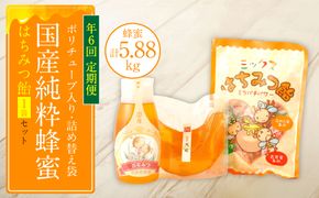 【定期便 年6回】ポリチューブ蜂蜜＆詰め替え袋+蜂蜜あめ袋セット