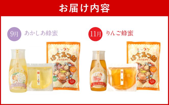 【定期便 年6回】ポリチューブ蜂蜜＆詰め替え袋+蜂蜜あめ袋セット