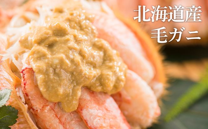 特大サイズ！冷凍毛がに約800g×1尾【斉藤水産】 AM147