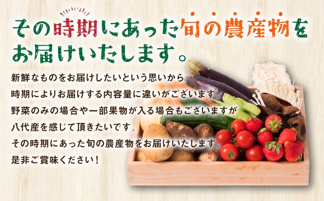 八代市産 旬の農産物詰合せ 復興 福袋 7品以上 野菜 果物 東陽地区