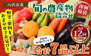 【12ヵ月定期便】八代市産！旬の農産物詰合せ 復興 福袋 7品以上