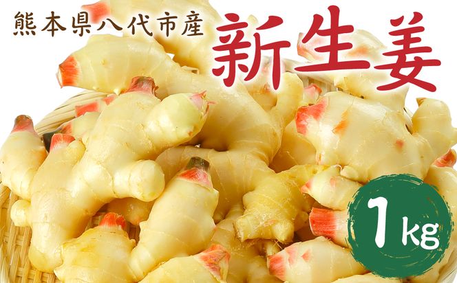 yF{szys\z F{sY VI1kg Gߌ 傤 VEK K WW[  Hi  ₦΍ { y2026N9{菇z