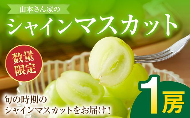 yF{szys\z F{sY R{Ƃ́uVC}XJbgv 1[(500g) Ԃǂ t[c }XJbg { ʕ ʕ VN Mtg 蕨 y2026N8{菇z