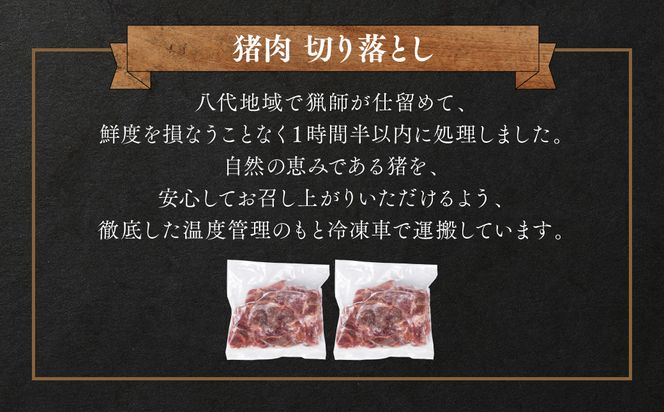 猪肉 切り落とし 合計800g（モモ・ウデ）ボタン肉 いのしし 400g×2パック