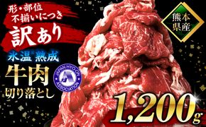 【訳あり】 氷温(R)熟成 熊本県産 牛肉 切り落とし 1.2kg 氷温熟成