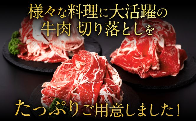 【訳あり】 氷温(R)熟成 熊本県産 牛肉 切り落とし 1.2kg 氷温熟成