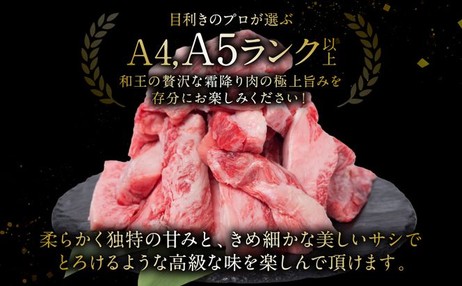 極和王シリーズ くまもと黒毛和牛 霜降りカルビ焼肉 500g 熊本県産 牛肉