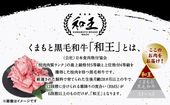 極和王シリーズ くまもと黒毛和牛 霜降りカルビ焼肉 500g 熊本県産 牛肉