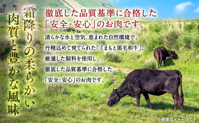 くまもと黒毛和牛薄切りローススライスしゃぶしゃぶ用 600g 黒毛和牛 肉 しゃぶしゃぶ