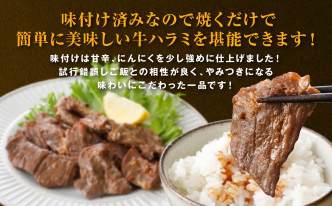 【訳あり】タレ漬け 牛ハラミ 1.2kg（300g x 4p） 醤油ベース 焼肉用