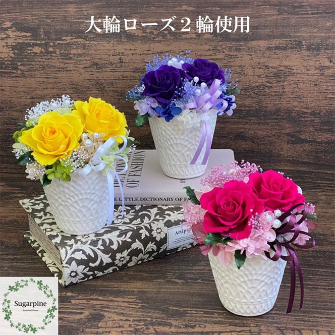 yʌtszAJ173-2 vU[uht[yt[/fB[vr[zts VK[pC