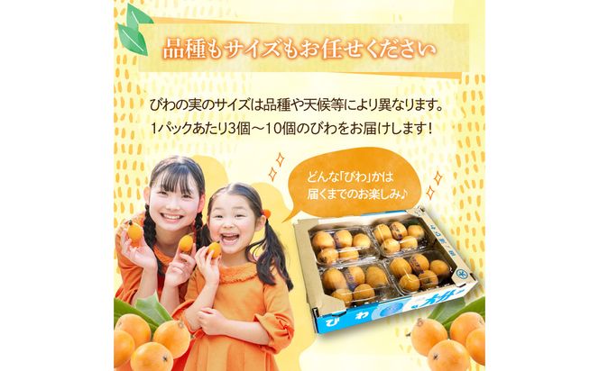 【C07013】【期間限定】田ノ浦びわ 約2.16kg（270g×8パック）