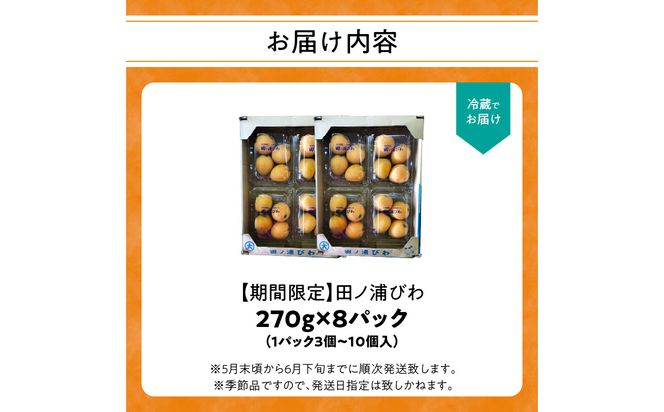 【C07013】【期間限定】田ノ浦びわ 約2.16kg（270g×8パック）
