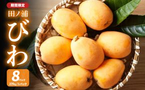 【C07013】【期間限定】田ノ浦びわ 約2.16kg(270g×8パック）