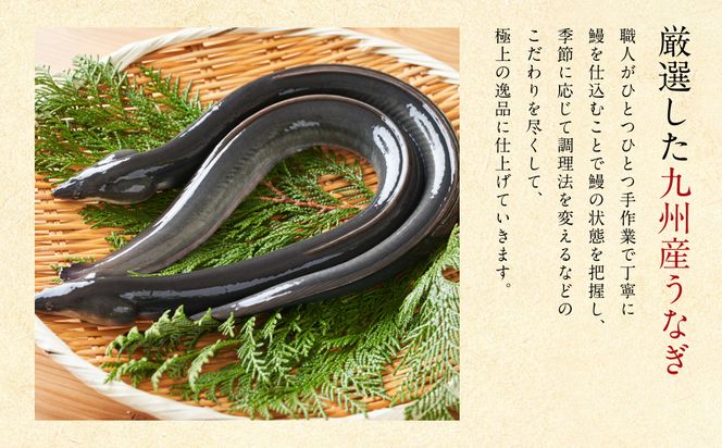 鰻丸(うなまる) 九州産 うなぎ蒲焼き3尾 ＆ 刻み蒲焼き2パックセット 鰻 ウナギ うなぎの蒲焼 丑の日 秘伝タレ 無頭 うな丼 うな重 ひつまぶし