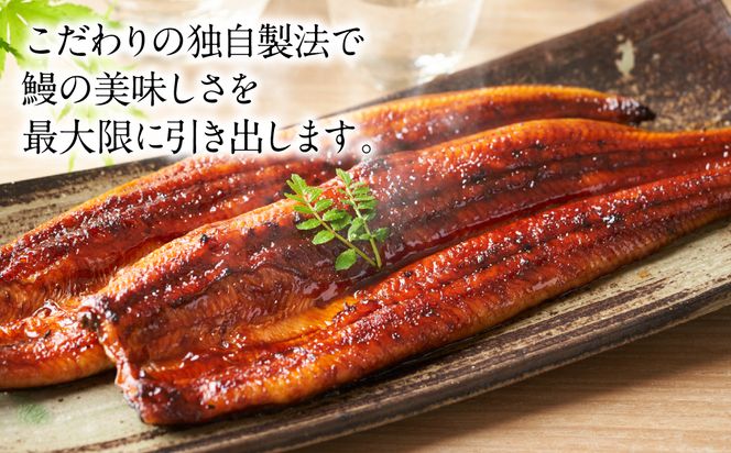 蒲焼き 2尾 白焼き 2尾 刻み蒲焼き 4PCセット うなぎ ウナギ お祝い 国産 蒲焼き かばやき 冷凍 丑の日 秘伝タレ 無頭 うな丼 うな重 ひつまぶし