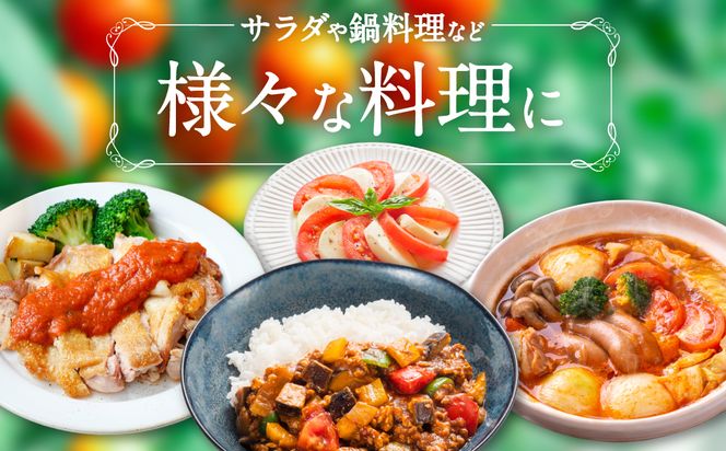 【先行予約】 【定期便3回】 野菜ソムリエ 岡田健志郎が育てた トマト 4kg トマト とまと 新鮮 サラダ 野菜 やさい 特産品 熊本県 八代市 【2026年12月上旬より順次発送】