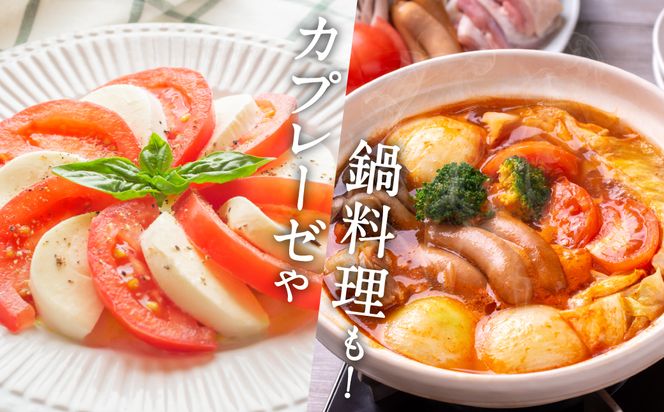 【先行予約】 【定期便3回】 野菜ソムリエ 岡田健志郎が育てた トマト 4kg トマト とまと 新鮮 サラダ 野菜 やさい 特産品 熊本県 八代市 【2026年12月上旬より順次発送】