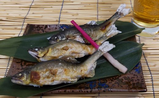 【B-608】 井保水産 鮎塩焼き10尾［高島屋選定品］