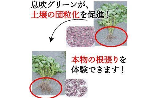 D10-15 土に息を吹込む 息吹グリーン1kg