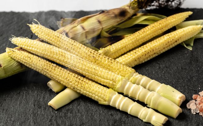 【先行予約】 ヤングコーン 30本 とうもろこし 朝採れ 朝採り 新鮮 ハウス栽培 皮付き 八宝菜 シチュー 蒸し焼き 野菜 旬 国産 熊本県 八代市 【2026年4月下旬より順次発送】