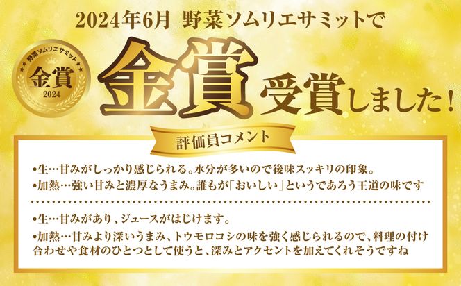 熊本県八代市産 スイートコーン ゴールドラッシュ 4kg とうもろこし 朝採り 高糖度