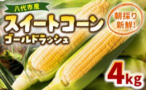 【先行予約】 熊本県八代市産 スイートコーン ゴールドラッシュ 4kg とうもろこし 朝採り 高糖度 【2025年5月上旬より順次発送】