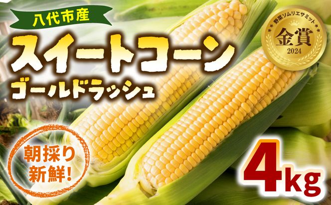 熊本県八代市産 スイートコーン ゴールドラッシュ 4kg とうもろこし 朝採り 高糖度