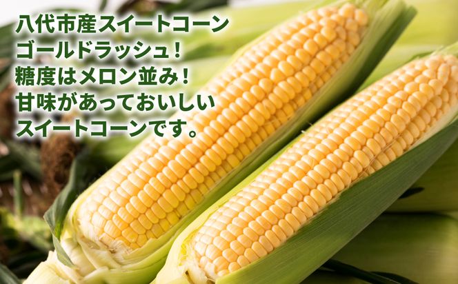 熊本県八代市産 スイートコーン ゴールドラッシュ 4kg とうもろこし 朝採り 高糖度