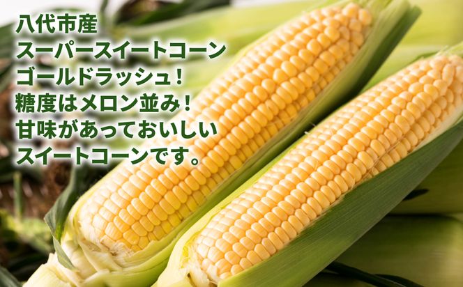 【先行予約】 熊本県八代市産 スーパースイートコーン ゴールドラッシュ 4kg 野菜ソムリエサミット 2年連続金賞受賞 スイートコーン とうもろこし コーン 朝採り 高糖度 【2026年5月上旬より順次発送】