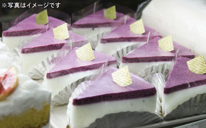 【全3回定期便】【築上町産ブルーベリー使用】 ブルーベリー ヨーグルト ムース ケーキ《築上町》【(有)工房よしかわ】 国産 ブルーベリー[ABAK004]