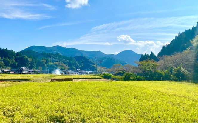 【先行予約】なの花村人気セット(鶴喰米5kg・鶴喰みそ1kg)【2024年10月上旬より順次発送】