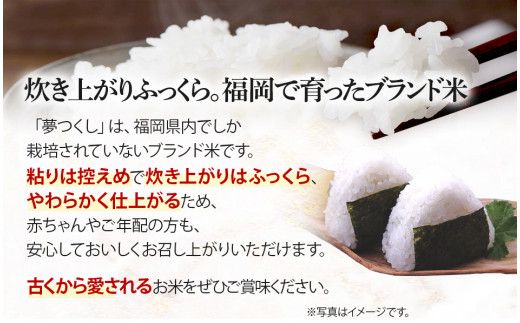 福岡県産ブランド米「夢つくし」白米　5kg